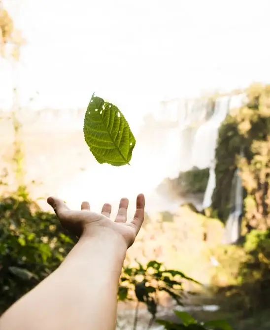 zero-carbon-footprint-2